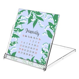 2025 CD-Style Desk Calendar 12 Months Calendar/Planner/Desk Calendar With CD Case Stand, Office Decor, Christmas Gifts (Edition #027)