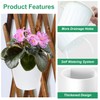 Oliz Self Watering Wall Planters for Indoor Plants with Water