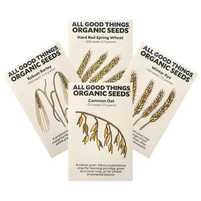 All Good Things Organic Great Grains Seeds for Planting: 4