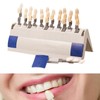 Teeth Whitening Shade Guide 29 Colors Comparison Individually Removable Tooth