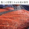 [Trial Pack] Gabai Farm, Made in Japan, Handmade, Germinated Barley