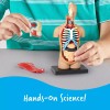 Learning Resources Human Body Model, 31 Pieces, Grades 3+, Ages