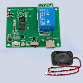 Snblzhef ESP32-AI 1 Way Voice Control Relay Module Voice Recognition Onboard Microphone Amplifier Speaker Type-C Interface