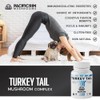 Pacific Rim Mushrooms Turkey Tail Supplement | High Potency 10:1