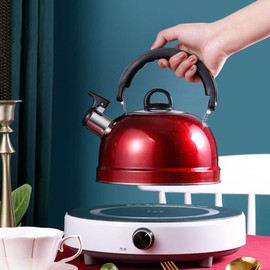 Operitacx Whistling Kettle Induction 3 L, Stainless Steel Kettle Camping with Handle, Tea Kettle Induction for Induction Cooker, Gas, Family Camping