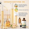 EVOKE OCCU 100% Pure Ginger Oil, Natural Ginger Essential Oil