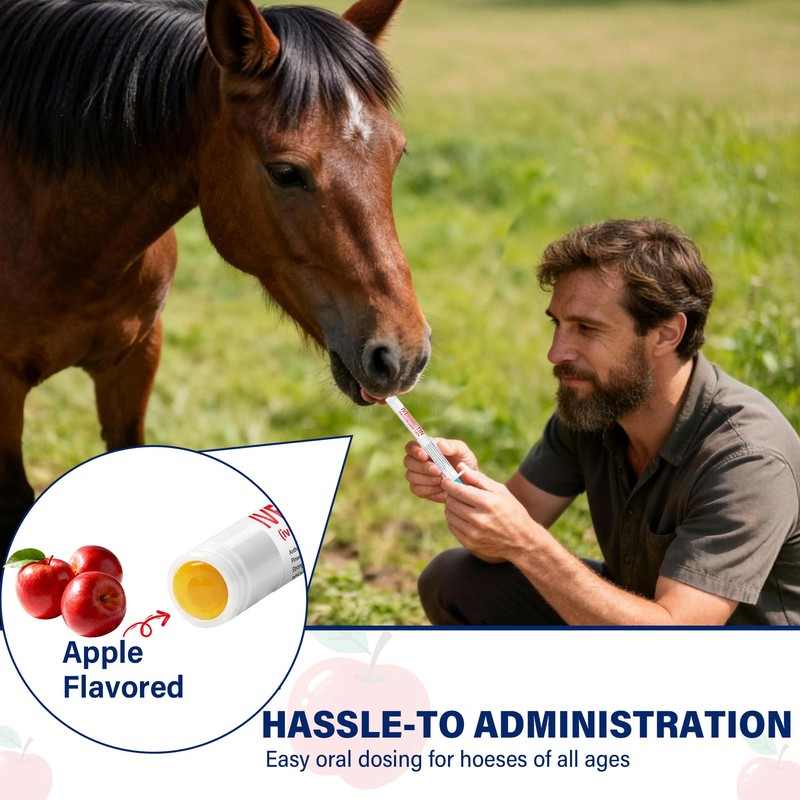 edoia Equine Paste 1.87% – 6 Pack (6.08g) Apple Flavored