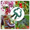 Plant Clips Plant Clips for Tomatoes, Roses, Cucumbers and Other