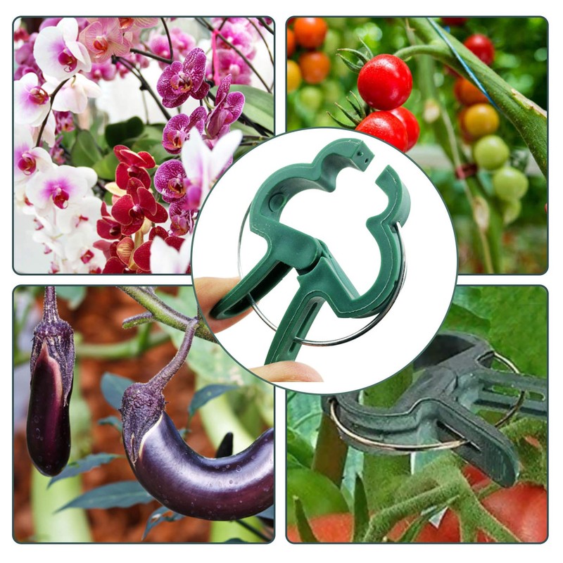 Plant Clips Plant Clips for Tomatoes, Roses, Cucumbers and Other