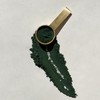 Spirela en POLVO de OXOMIO - Espirulina y Chlorella Orgánicas