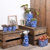 Fallen Fruits Decorative POTS ON Tray, Ideal for Herbs, Metal,