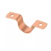 Efield Pro 50 Pack EFIELD 1/2" Copper Pipe Straps, Two-Hole
