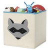Whitmor Kids Raccoon Canvas Collapsible Cube - 10 x 10