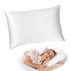 HusiAjiesilk 100% Mulberry Silk 1 Pack Pillowcase with Envelope Closure,19