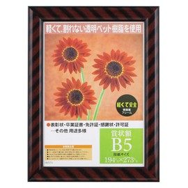 Iwata PSKR-PET-SP-B5 PET B5 Picture Frame, Award Plaque, Gold Rack, Resin Frame