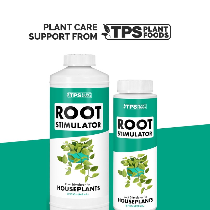 Root Stimulator for Houseplants – Liquid Root Supplement with Kelp