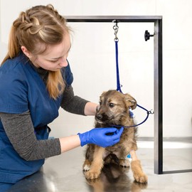 Jelly Pet Grooming Loop for Dogs, Groomers Helper, BioThane Material is Easy to Clean, Waterproof & Durable Noose Loop, Fits Most Pet Grooming Tubs/Tables/ 3/8” x 24” W/Ring Hot Pink