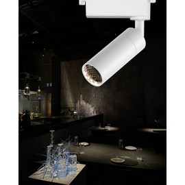 Gpaillumic Light Fixtures, Modern LED Ceiling Spotlight, 10W Zoom Track Spotlight, Adjustable Angle for Versatile Indoor Accent Lighting in Restaurant, Cafeterias, Corridors...