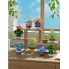 Jollcnoia Group Mini Cute Cactus Succulent Plants Bonsai Building Toy