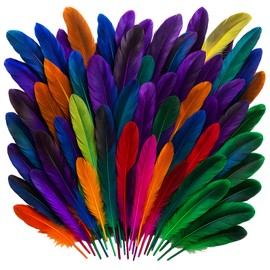 ZexJpr Pack of 150 Feathers for Crafts, Colourful Feathers for DIY Dream Catchers, Wedding Decoration and Earrings, 10 cm Length, Best Choice for Hand Gifts