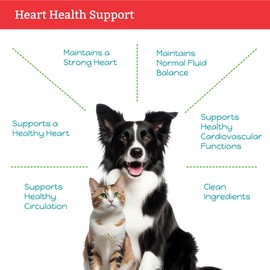 Herbal Petz Hawthorn + Dandelion for Cats & Dogs - Herbal Health Supplement, Circulation, Healthy Heart, Fluid Balance, 1 Fluid Ounce Glass Bottle, Manufactured in The USA