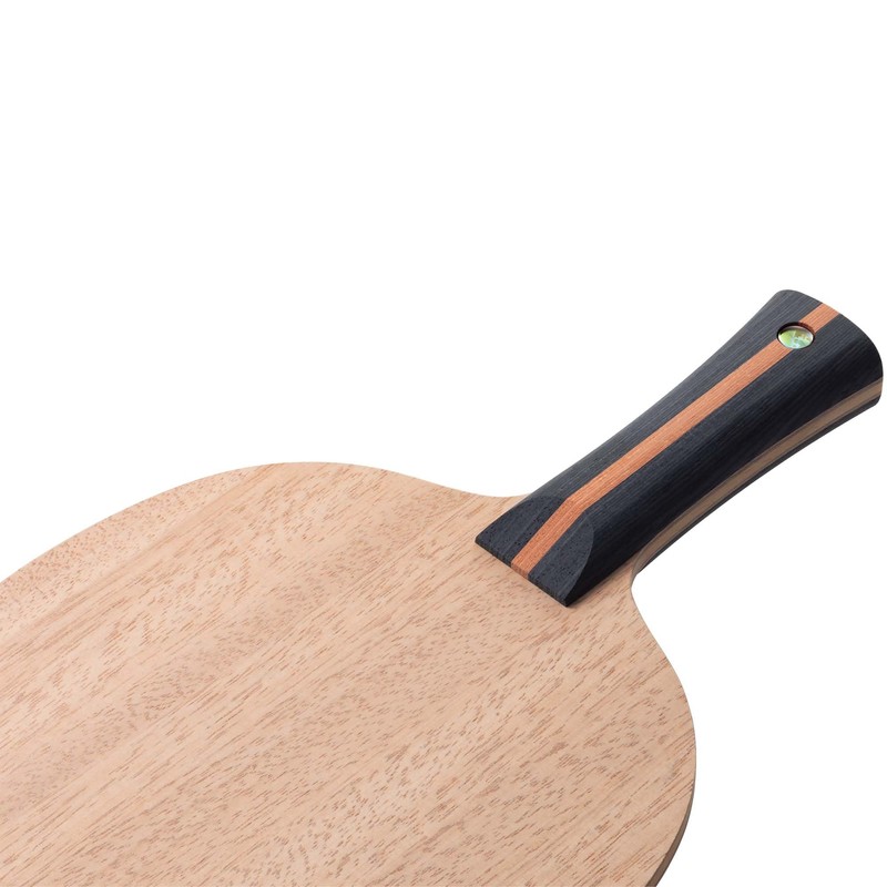Butterfly FL 37101 Table Tennis Shake Cracket, Diode Pro