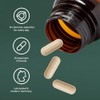 Primal Harvest Multivitamin - Daily Supplement, Gluten Free, Vegetarian