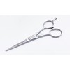NTS-Solingen May Lily Line Professional Hairdressing Scissors Rust-Proof Original Made