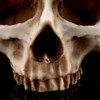 Skull Planter Key Bowl Fake 1 Piece Resin Skull Head