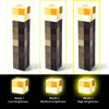 Light-up Wall Torch - Batteries & USB Pluggable Night Lamp