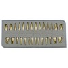 1 caja de dientes modelo dental modelo 28 piezas 1:1