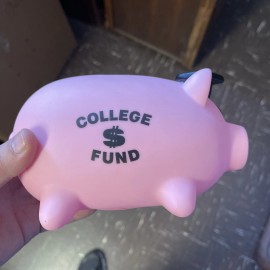 Kids Of America College Fund Pig Piggy Bank Graduation Gift Plastic Resin Pink