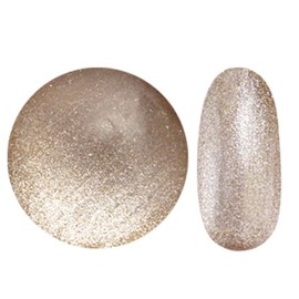 Magnet Nail Fine 20 Colors Total of 20 Colors Gel Nail Magnetic Nail Color Gel Cat Eye Magnet Silver Glitter Color Nail Gel Art Gel Gel Nail Supplies Nail Gel Nail Art Popular Self Gel Nail