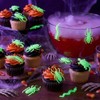 Rhode Island Novelty Glow in The Dark Ctter Assortment -
