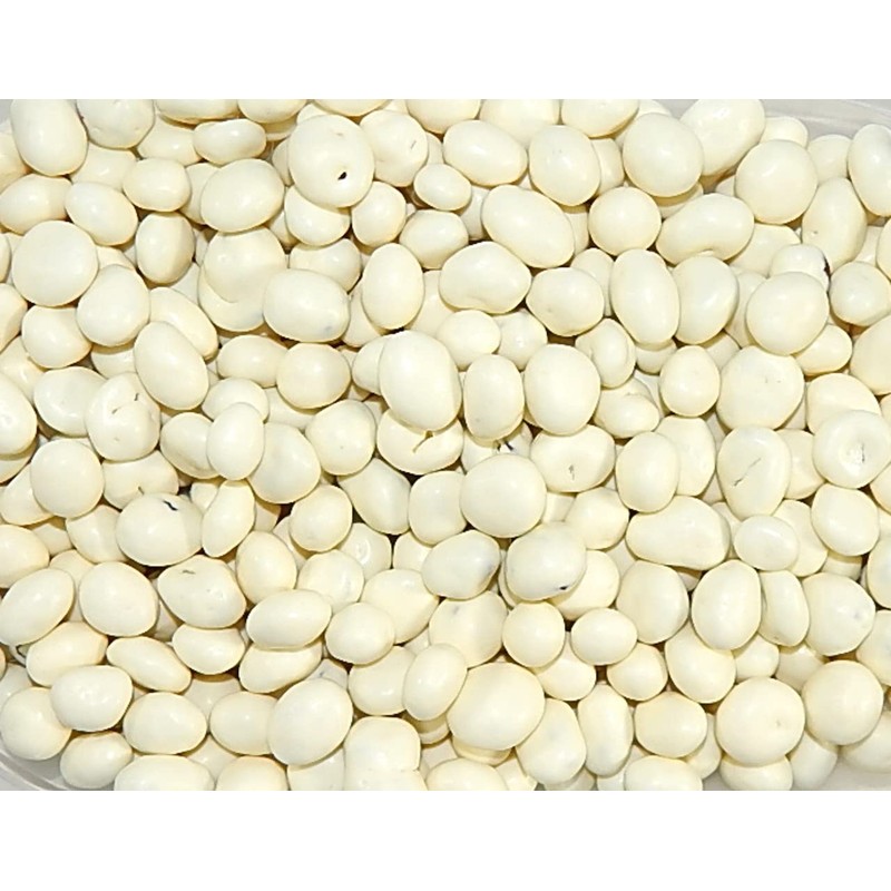 Bayside Candy Yogurt Covered Raisins | Yogurt Raisins | Yogurt