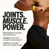 Harlo 3-in-1 Electrolytes Powder with Creatine & Collagen – Hydration,