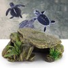 Hábitat de reptiles de tortuga no tóxico, Refugios seguros vívidos