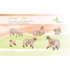 Fritz Cox® Sheep Set of 6 for 15-18 cm Figures