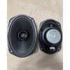 Riverpark 100W - 4 Ohm -6" x 9" Oval -