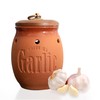 Dheureka Garlic Keeper with Wooden Lid, 19 oz Clay Garlic