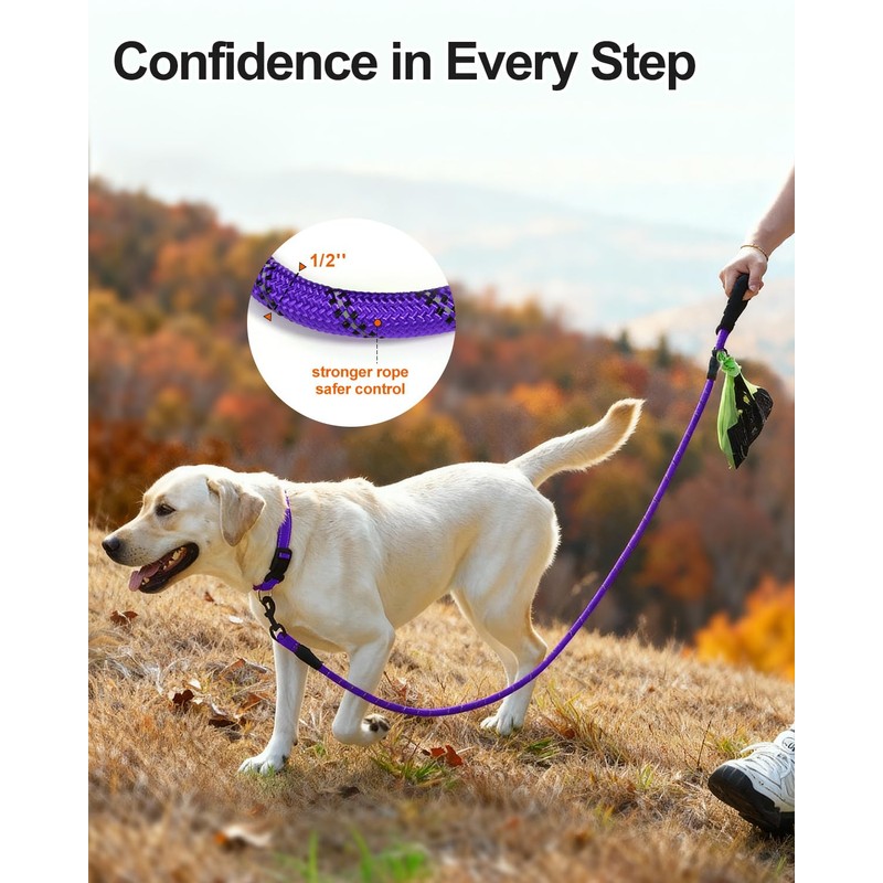Joytale Dog Leash for Large Dogs, Heavy Duty Nylon Leashes