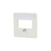 Rutenbeck 13910053 – Central plate Recessed 2 RJ45 Outputs Window