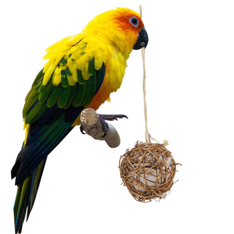 BESPORTBLE 3pcs Hummingbird Nesting Material Holder for Birds for Outdoor