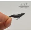 SMA Miniature Humpback Whale 1 PC AW 11905