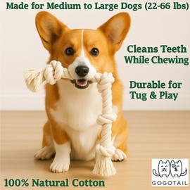 GOGOTAIL 2-Pack White Cotton Dog Rope Toys for Aggressive Chewers – 20” Long 4-Knot Tug – Safe, Washable Chew Toy for Medium & Large Dogs – Indoor & Outdoor Dental Rope Toy