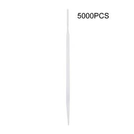 5000pcs Disposable Double Head Toothpick Tartar Removal Teeth Cleaning Toothpicks