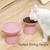 CEEFU Extra Wide Elevated Ceramic Cat Water Bowl - 6.2"