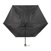 Champion CHM81MN58 Gentleman Mini Folding Umbrella, 22.8 inches (58 cm)