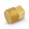Supply Giant CSTQ0012 1/2-Inch Male National Pipe Taper Threads Brass