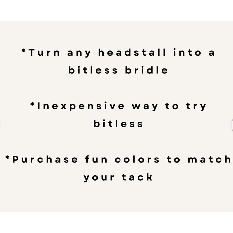 brown and black side pull hackamore attachment bitless bridle, horse